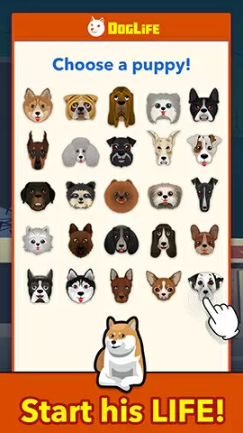 BitLife Dogs – DogLife