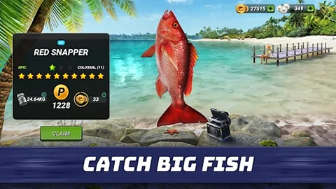 Fishing Clash: 3D Sport Game