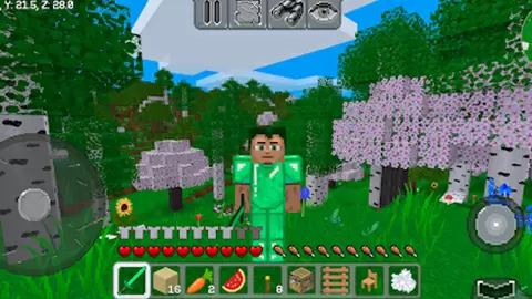 MultiCraft - Build and Mine!